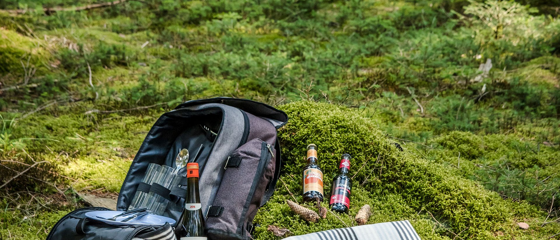 Picknick mit Essen und Getränken auf einer Decke im grünen Wald