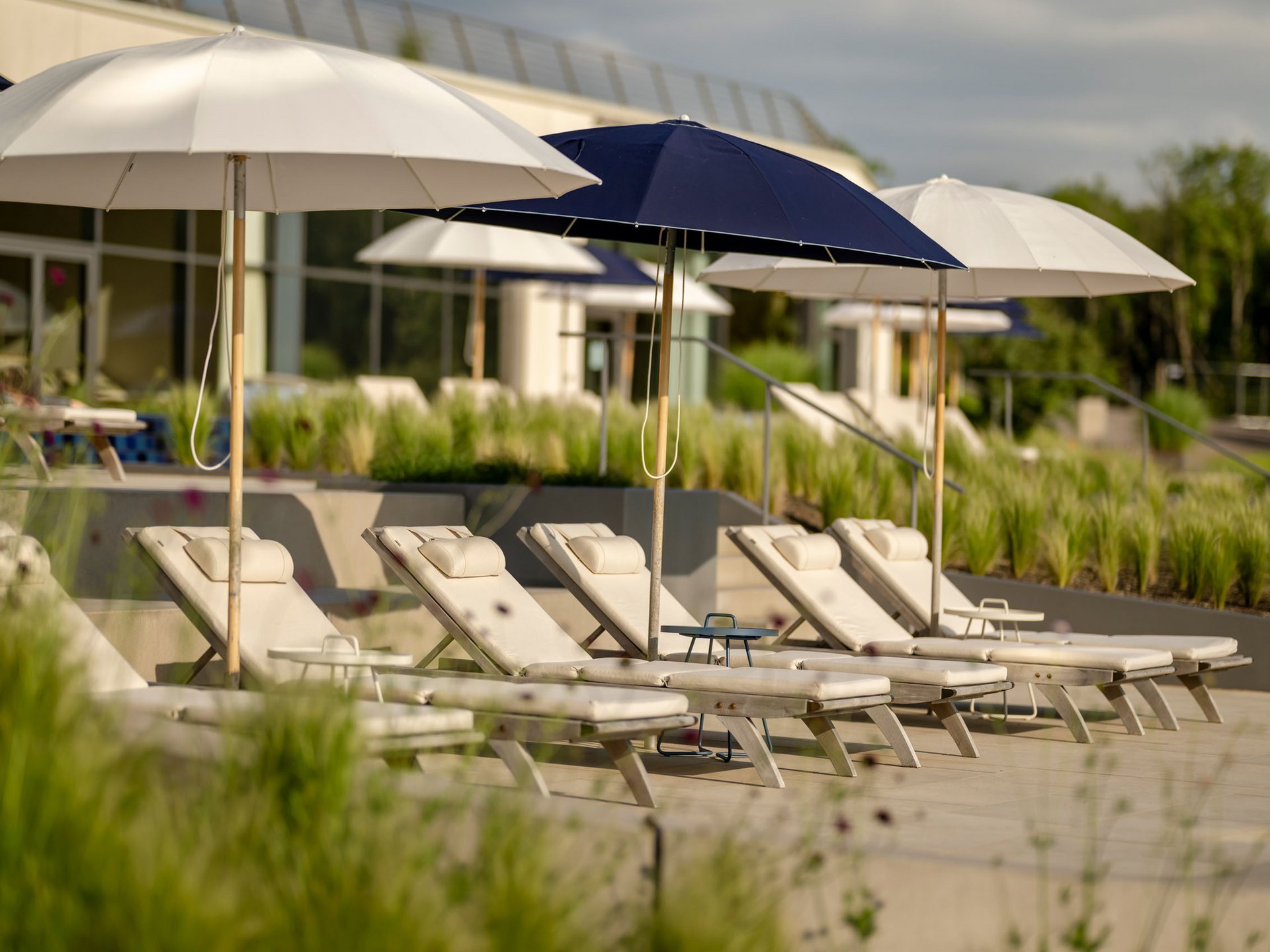 Empty lounge chairs with umbrellas at a sunny poolside area
