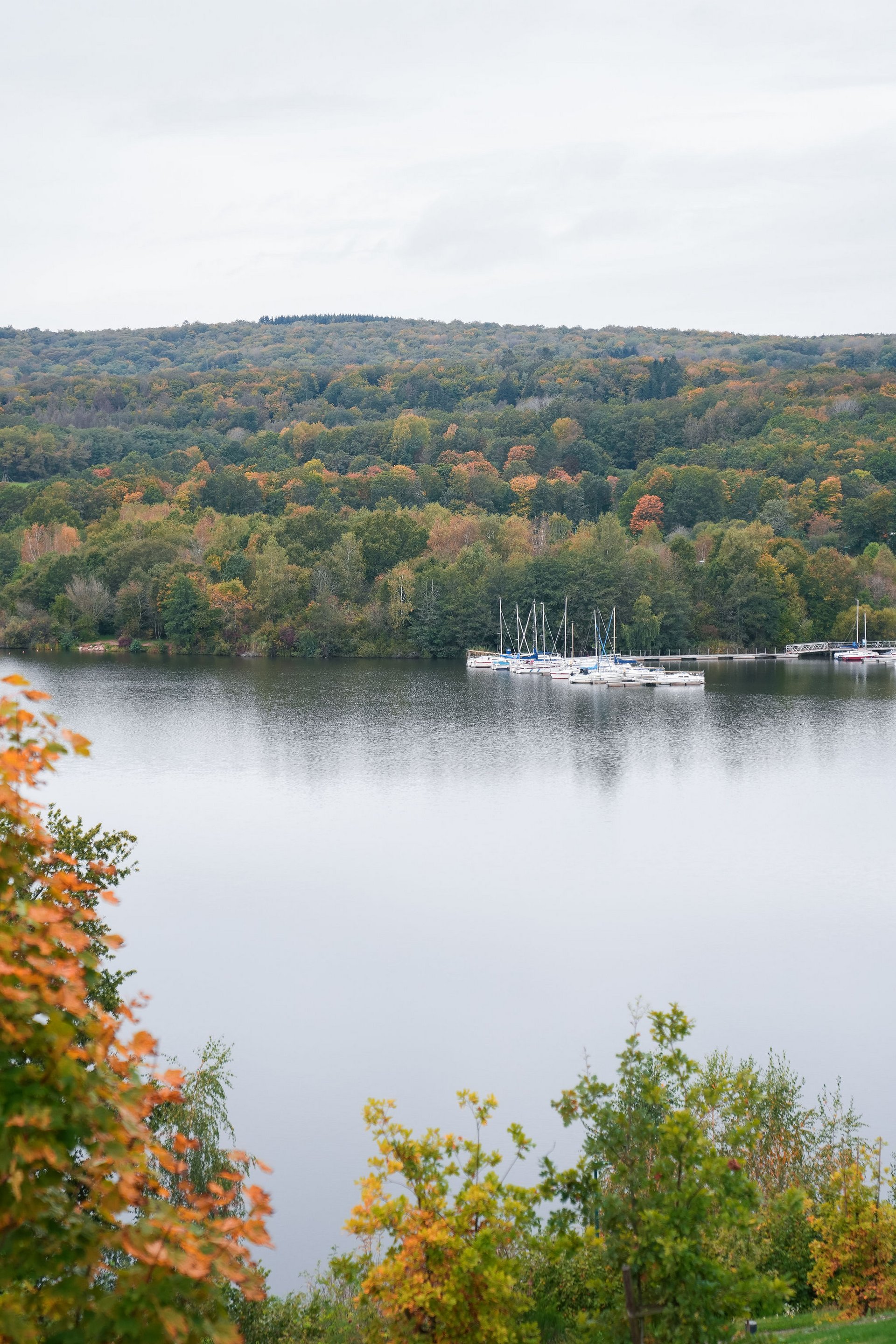 Autumn lake with yachts and forested hills in the background